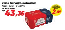 Dia Pack Cerveja Budweiser oferta