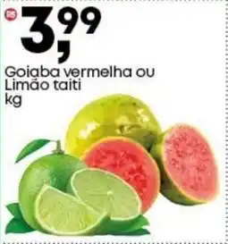 Frangolândia Goiaba vermelha ou Limão taiti oferta