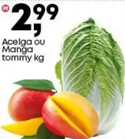 Frangolândia Acelga ou Manga tommy oferta