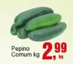 Negreiros Pepino Comum oferta
