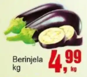 Negreiros Berinjela oferta