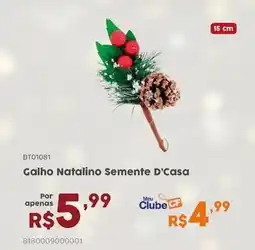 Casa Freitas Galho Natalino Semente D'Casa oferta