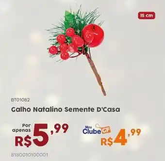 Casa Freitas Galho Natalino Semente D'Casa oferta