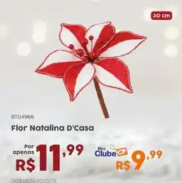 Casa Freitas Flor Natalina D'Casa oferta