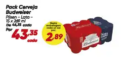 Dia Pack Cerveja Budweiser oferta