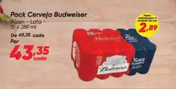 Dia Pack Cerveja Budweiser oferta