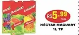 Supermercados Santa Helena Nectar maguary tp oferta