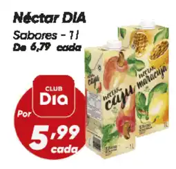 Dia Néctar DIA Sabores oferta