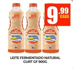 Fort Atacadista Leite fermentado natural gurt gf oferta