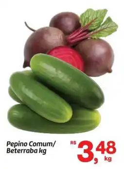 Fort Atacadista Pepino Comum/ Beterraba oferta
