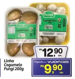 Fort Atacadista Linha Cogumelo Fungi oferta