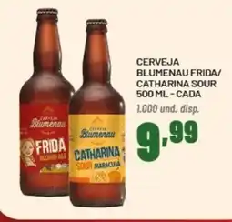 Cooper Cerveja blumenau frida/ catharina sour cada oferta
