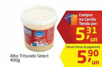 Tenda Atacado Alho triturado select 400g oferta