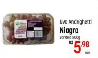 Uva Andrighetti Niagra 500g
