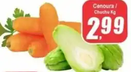 Panelão Cenoura / Chuchu oferta