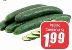 Panelão Pepino Conserva oferta