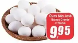 Panelão Ovos São José Branco Grande cl 20unid. oferta