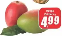 Panelão Manga Palmer oferta