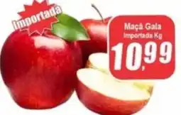 Panelão Maça Gala Importada oferta