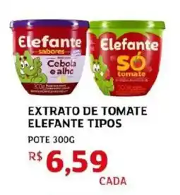 Assaí Atacadista Extrato de tomate elefante tipos oferta