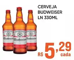 Pais e Filhos Supermercados Cerveja budweiser ln oferta