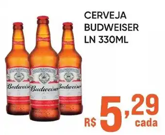 Pais e Filhos Supermercados Cerveja budweiser ln oferta