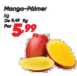 Dia Manga-Pálmer oferta