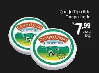 Dona de Casa Queijo tipo Brie Campo Lindo 100g oferta