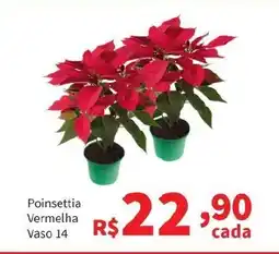 Macromix Atacado Poinsettia Vermelha Vaso 14 oferta