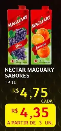 Assaí Atacadista Nectar maguary sabores oferta