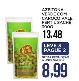 Apoio Mineiro Azeitona verde com caroço vale fértil sachê oferta