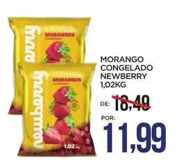 Apoio Mineiro Morango congelado newberry oferta