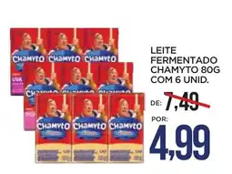 Apoio Mineiro Leite fermentado chamyto oferta