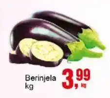 Negreiros Berinjela oferta