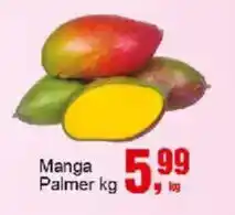Negreiros Manga Palmer oferta