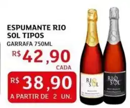 Assaí Atacadista Espumante rio sol tipos oferta