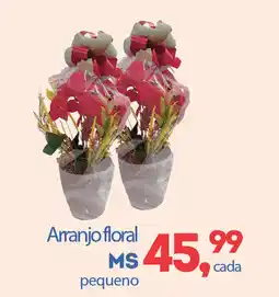 Cometa Supermercados Arranjo floral MS pequeno oferta