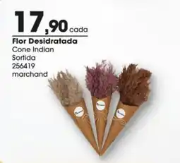 Zaffari Flor Desidratada Cone Indian Sortida oferta