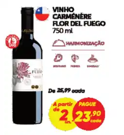 Dia Vinho carménére flor del fuego oferta