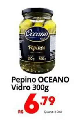 Althoff Supermercados Pepino OCEANO Vidro oferta