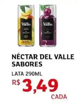 Assaí Atacadista Néctar del valle sabores oferta