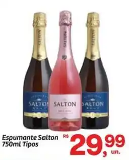 Fort Atacadista Espumante Salton Tipos oferta