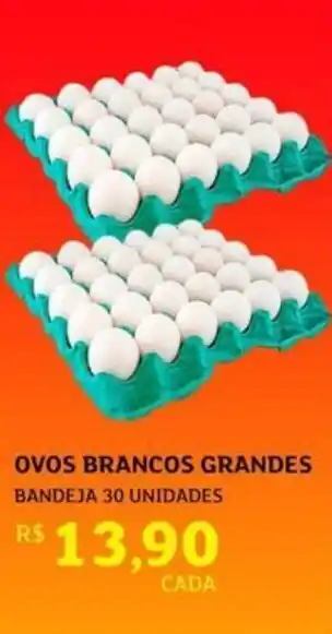 Ovos brancos grandes