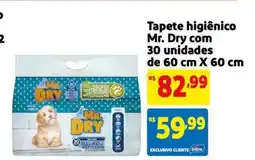 Extra Supermercado Tapete higiênico Mr. Dry oferta