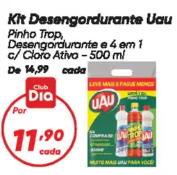 Dia Kit Desengordurante Uau oferta