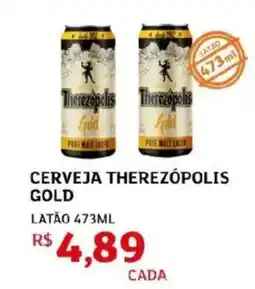 Assaí Atacadista Cerveja therezópolis gold oferta