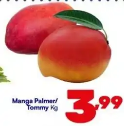 Barracão Supermercado Manga Palmer/ Tommy oferta