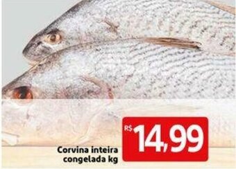 Extra Supermercado Corvina Inteira congelada 1kg oferta