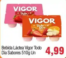 Spani Atacadista Bebida Láctea Vigor Todo Dia Sabores oferta