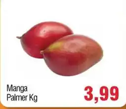 Spani Atacadista Manga Palmer oferta
